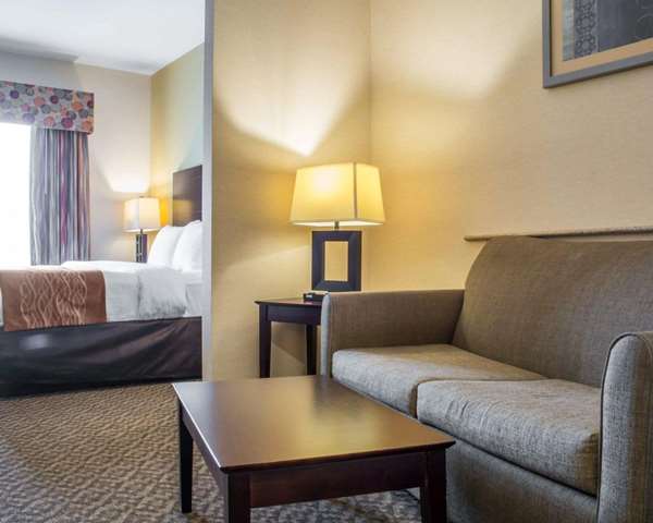 Suite - Comfort Suites Cicero - I-81, Exit 30