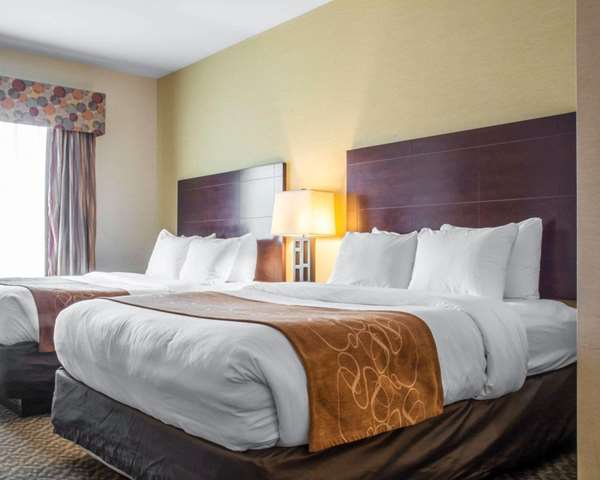 Suite - Comfort Suites Cicero - I-81, Exit 30