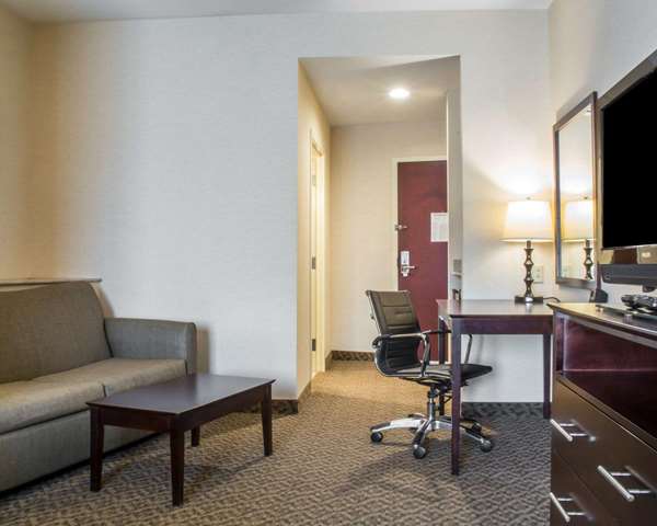 Suite - Comfort Suites Cicero - I-81, Exit 30