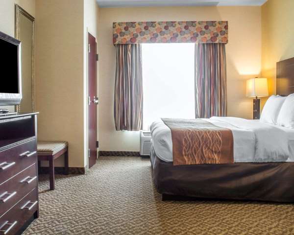 Suite - Comfort Suites Cicero - I-81, Exit 30