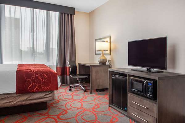 Suite - Comfort Inn & Suites Bronx