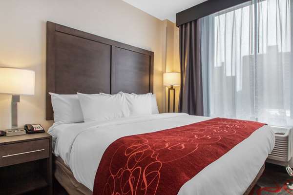 Suite - Comfort Inn & Suites Bronx