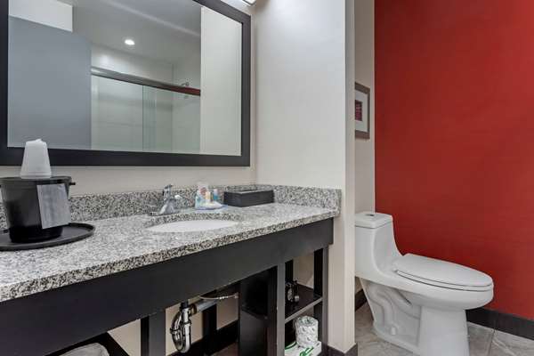 Suite - Comfort Inn & Suites Bronx