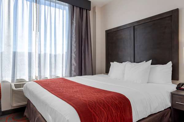Suite - Comfort Inn & Suites Bronx