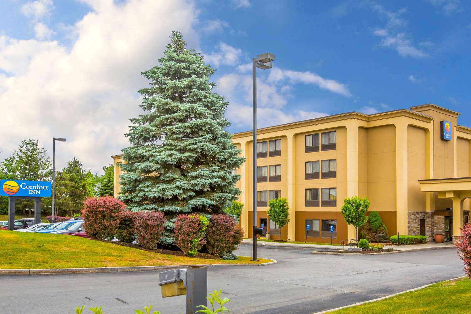 Comfort Inn Cohoes Ny See Discounts