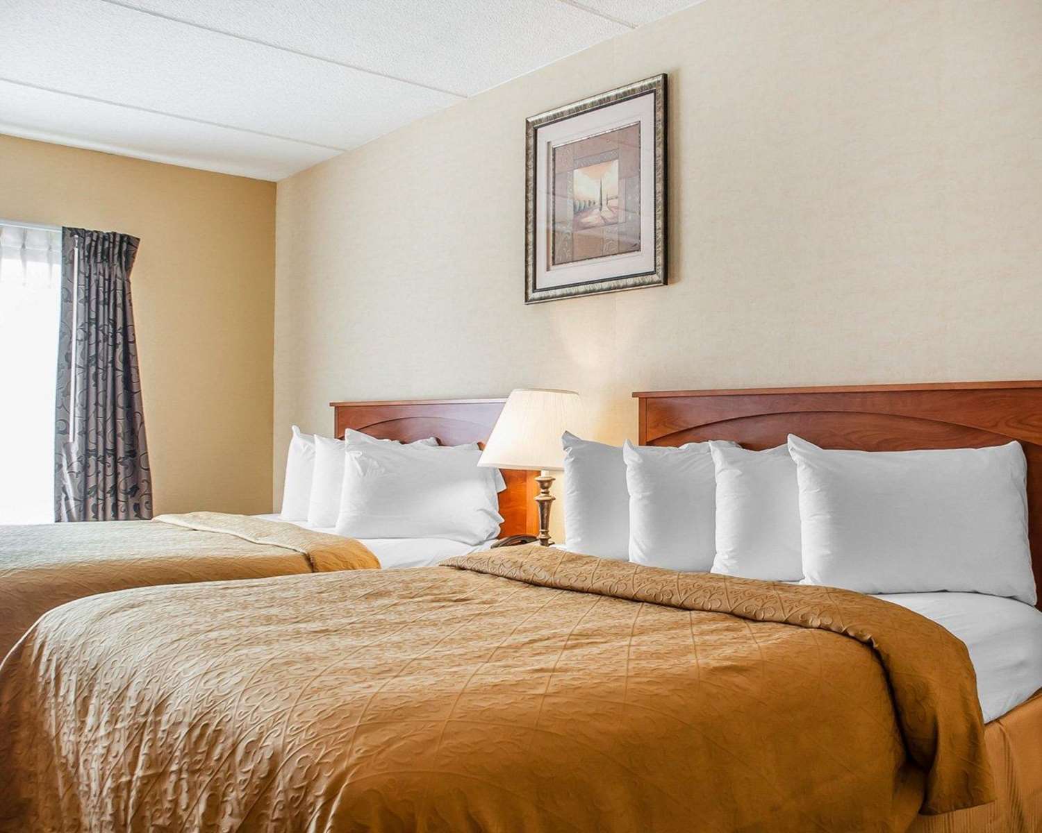Quality Hotel & Suites Niagara Falls, NY See Discounts