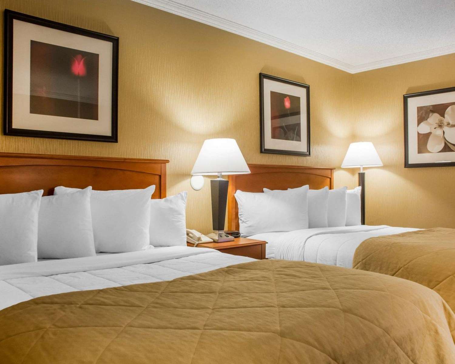 Clarion Hotel & Suites Riverfront Oswego, NY See Discounts