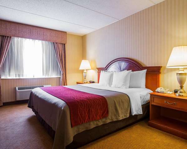 Suite - Comfort Inn & Suites Hawthorne