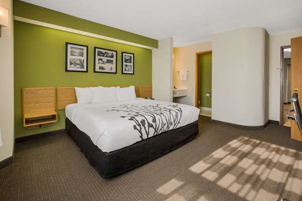 Suite - Sleep Inn Bolivar