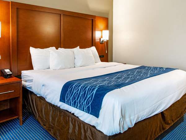 Suite - Comfort Inn Piketon