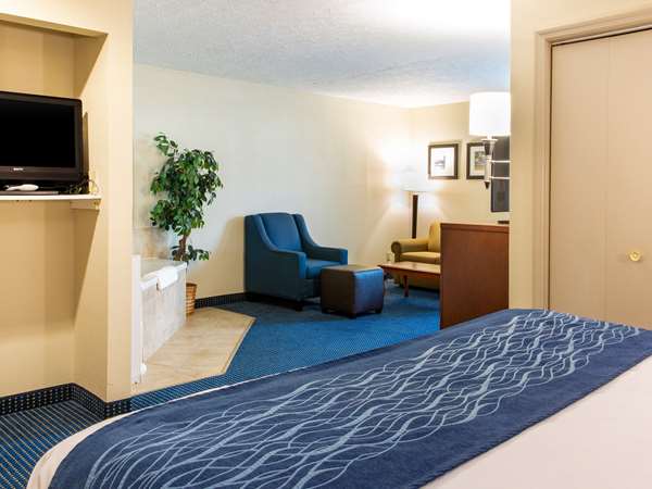 Suite - Comfort Inn Piketon