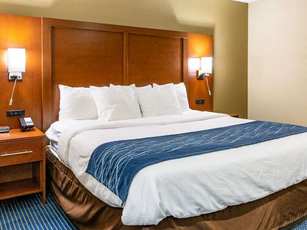 Suite - Comfort Inn Piketon