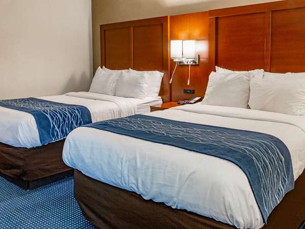 Suite - Comfort Inn Piketon
