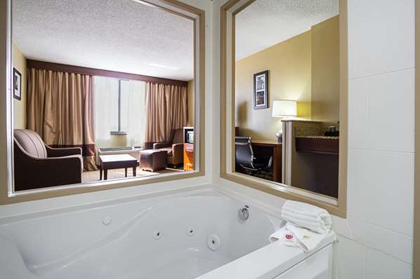  - Comfort Inn Downtown Cleveland - I-90, Exit 172A & 173A