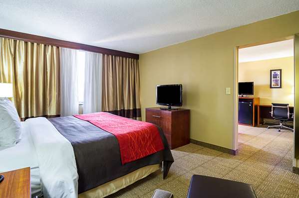  - Comfort Inn Downtown Cleveland - I-90, Exit 172A & 173A
