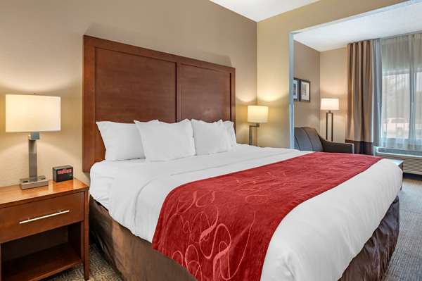 Suite - Comfort Suites West Columbus - I-70, Exit 91