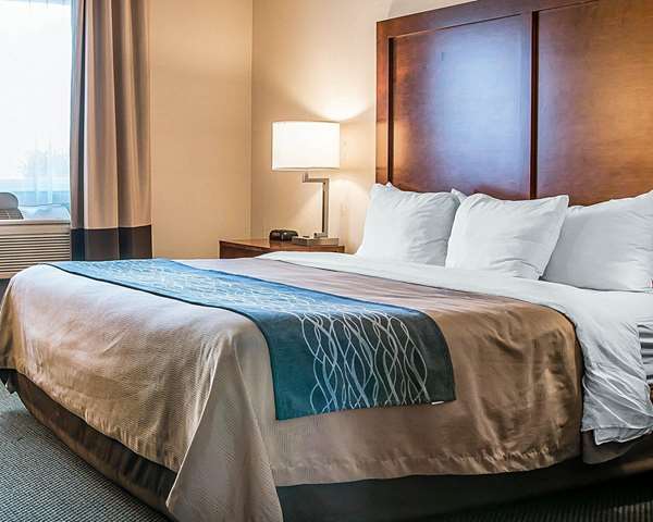  - Comfort Inn Bluffton - I-75, Exit 142