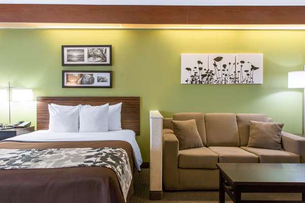 Suite - Sleep Inn & Suites Oregon - I-280, Exit 6B