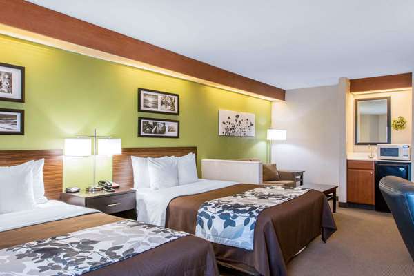Suite - Sleep Inn & Suites Oregon - I-280, Exit 6B