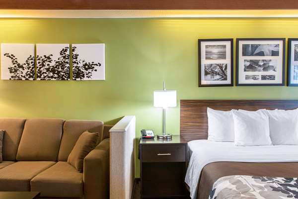 Suite - Sleep Inn & Suites Oregon - I-280, Exit 6B