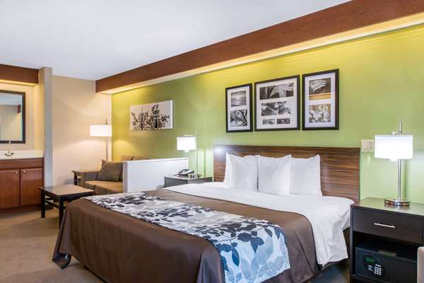 Suite - Sleep Inn & Suites Oregon - I-280, Exit 6B