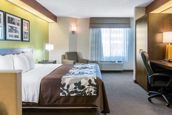 Suite - Sleep Inn & Suites Oregon - I-280, Exit 6B