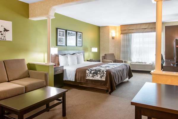 Suite - Sleep Inn & Suites Oregon - I-280, Exit 6B