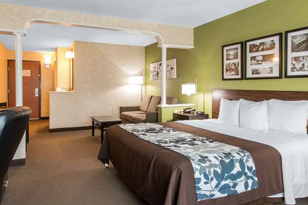 Suite - Sleep Inn & Suites Oregon - I-280, Exit 6B