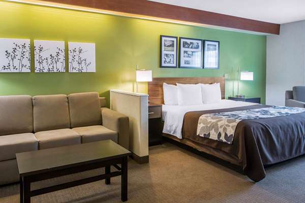 Suite - Sleep Inn & Suites Oregon - I-280, Exit 6B