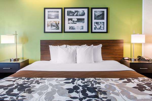 Suite - Sleep Inn & Suites Oregon - I-280, Exit 6B