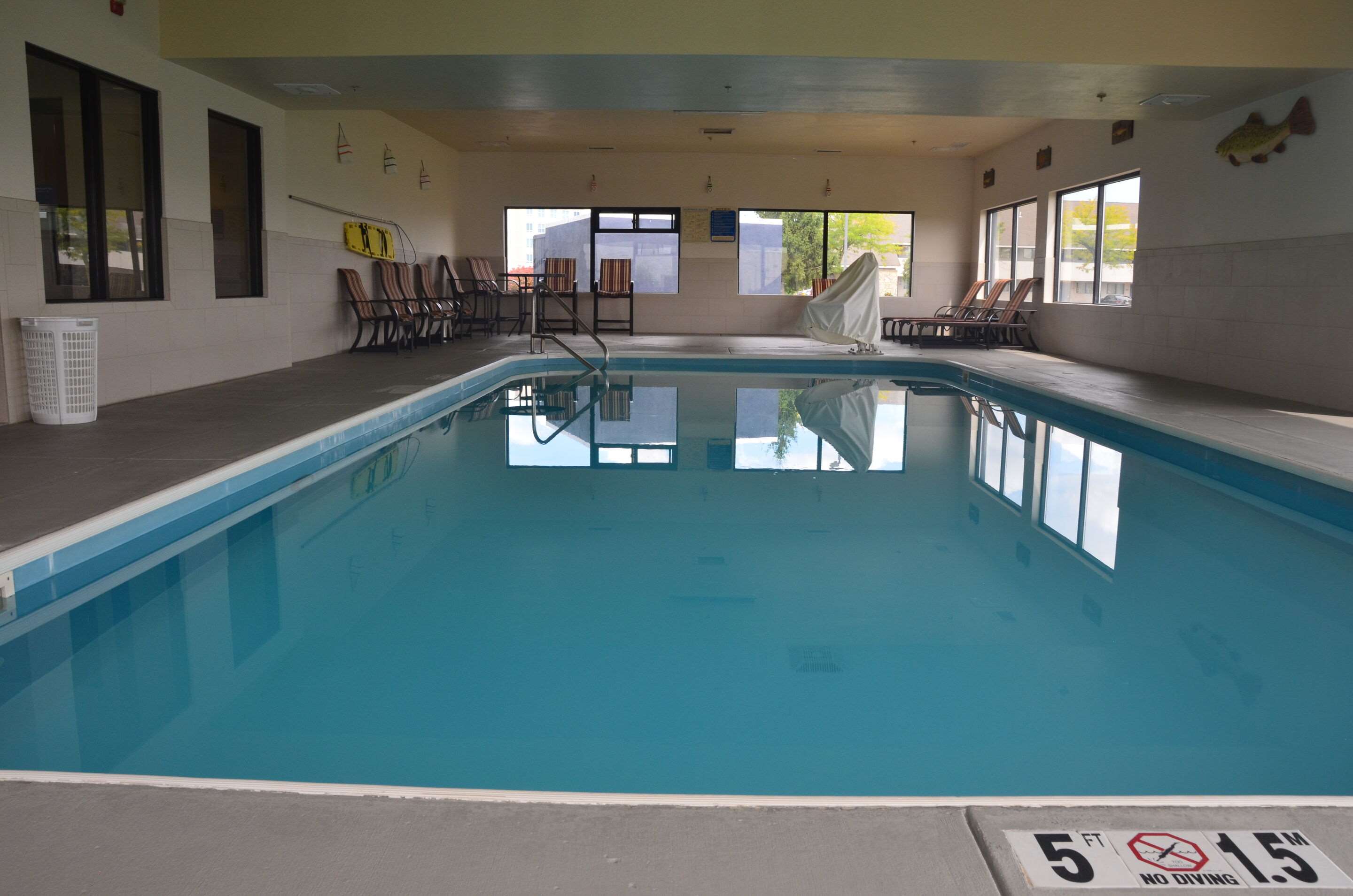 Indoor pool | Comfort Inn & Suites Maumee - Toledo (I80-90)