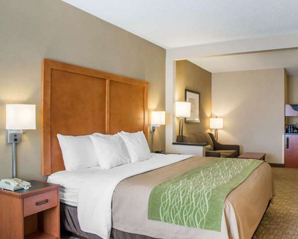 Suite - Comfort Inn & Suites West Chester - I-75, Exit 19