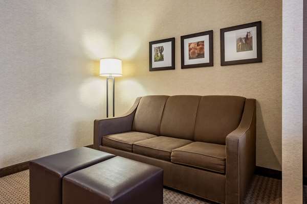 Suite - Comfort Suites Berlin