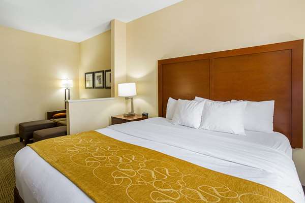 Suite - Comfort Suites Twinsburg - I-480, Exit 37