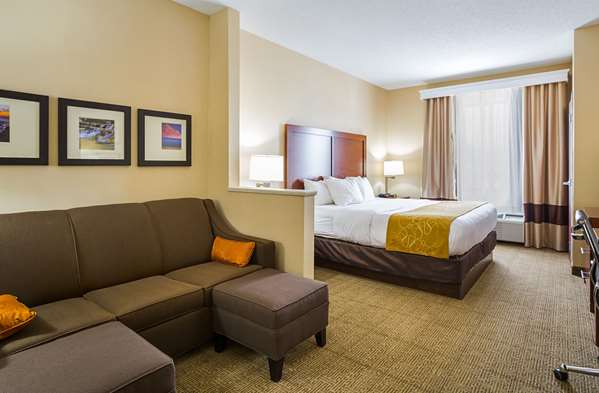 Suite - Comfort Suites Twinsburg - I-480, Exit 37