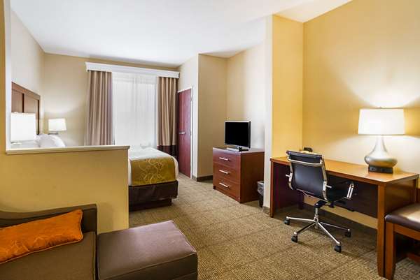 Suite - Comfort Suites Twinsburg - I-480, Exit 37
