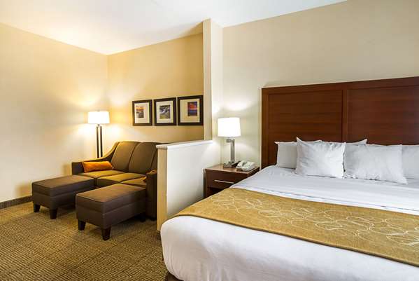 Suite - Comfort Suites Twinsburg - I-480, Exit 37