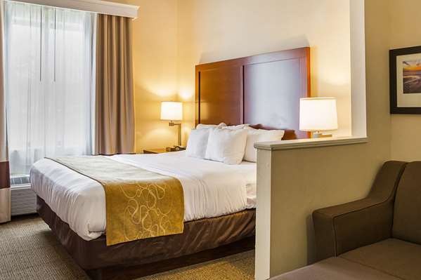 Suite - Comfort Suites Twinsburg - I-480, Exit 37