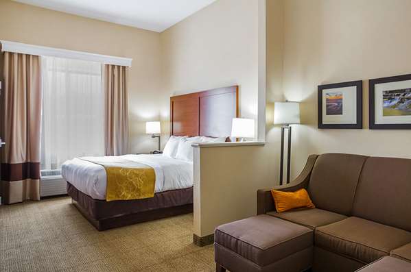 Suite - Comfort Suites Twinsburg - I-480, Exit 37