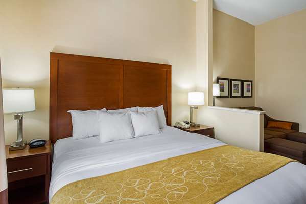 Suite - Comfort Suites Twinsburg - I-480, Exit 37