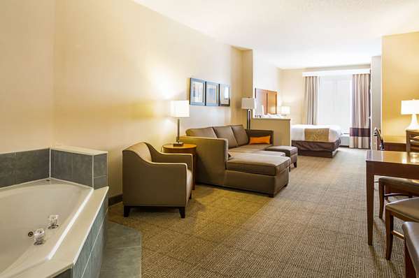 Suite - Comfort Suites Twinsburg - I-480, Exit 37