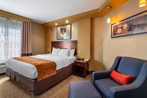 Suite - Comfort Suites Perrysburg - I-75, Exit 193
