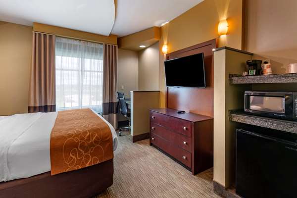Suite - Comfort Suites Perrysburg - I-75, Exit 193