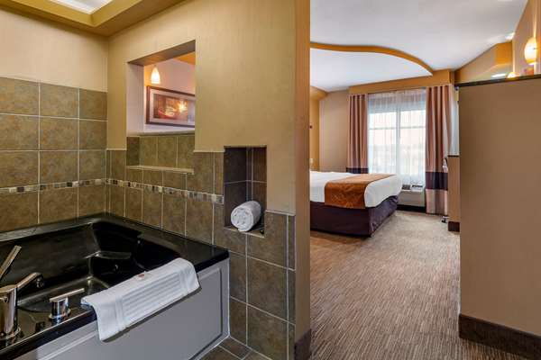 Suite - Comfort Suites Perrysburg - I-75, Exit 193