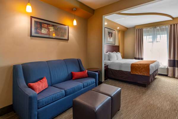 Suite - Comfort Suites Perrysburg - I-75, Exit 193