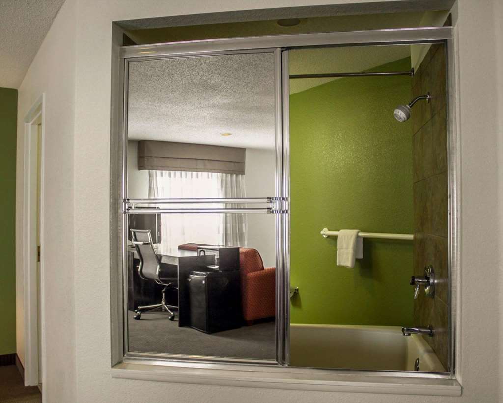 SLEEP INN SANDUSKY-guestroom-Guest Room,Bathroom,On-Site.jpg