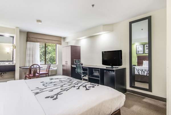 Suite - Sleep Inn Austintown - I-80, Exit 223