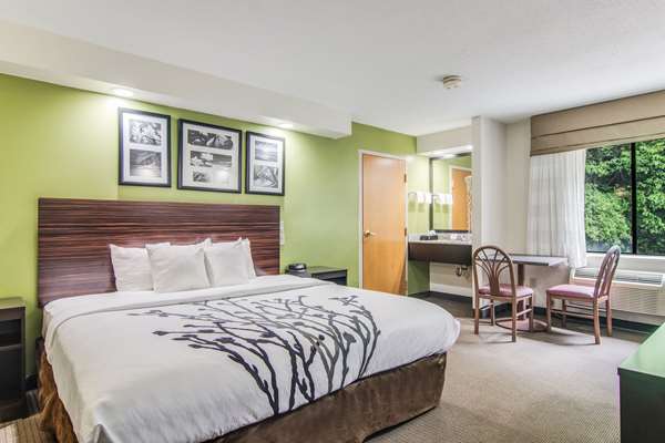 Suite - Sleep Inn Austintown - I-80, Exit 223