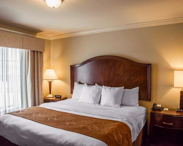  - Comfort Suites Forest Park