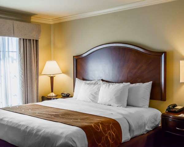  - Comfort Suites Forest Park